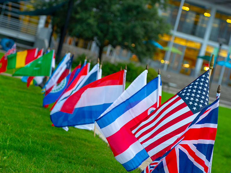 Global flags on Tulane campus